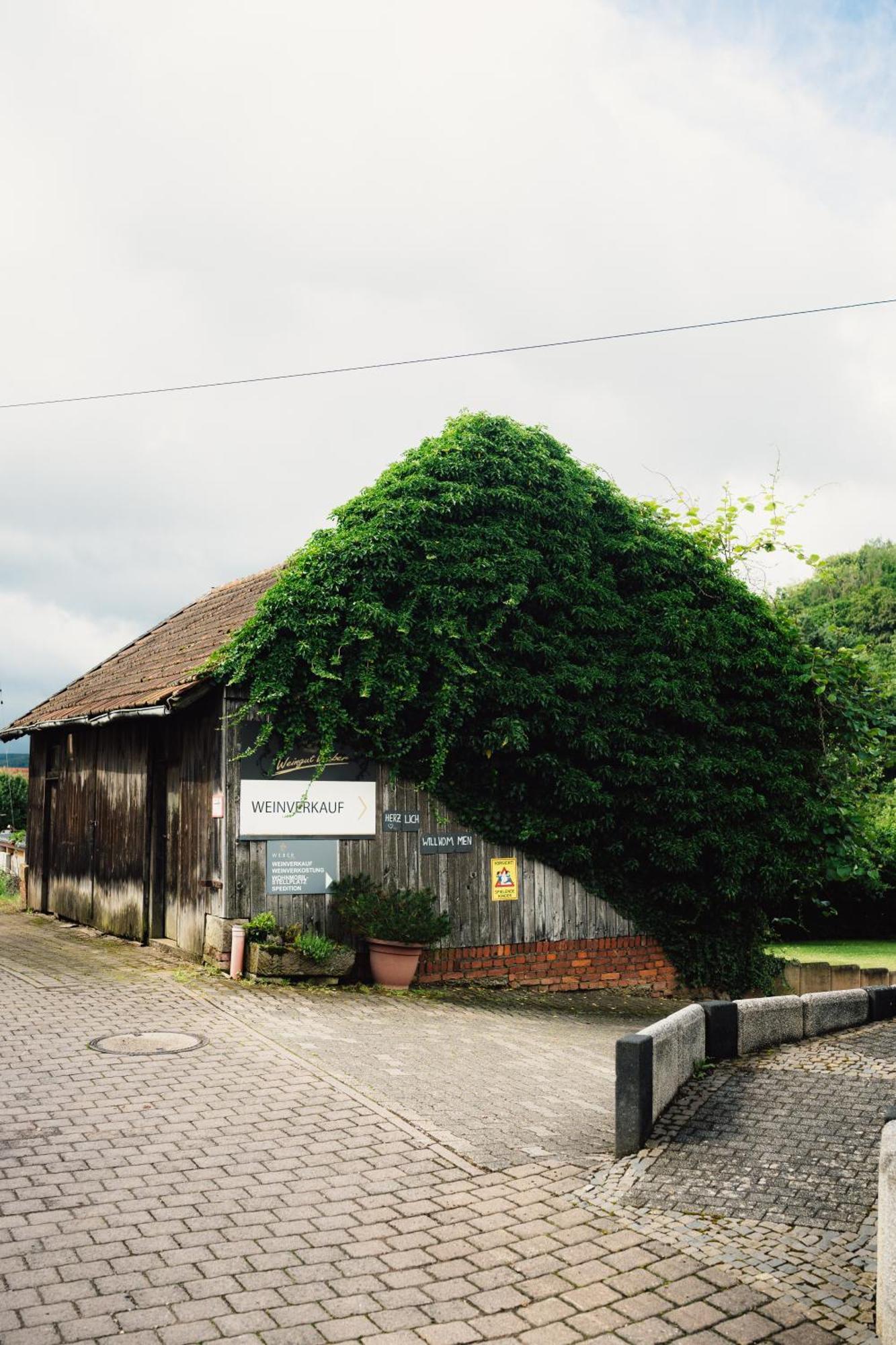 Moderne Ferienwohnung Auf Dem Weingut Monzingen Екстер'єр фото